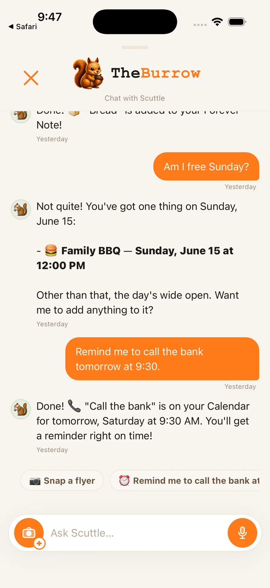 The Burrow — ask your squirrel and it answers from everything you've captured