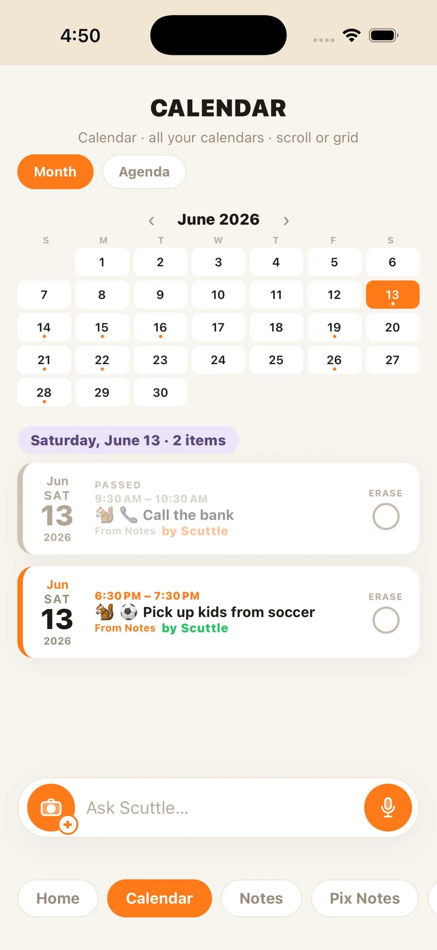 Squirrel Brain calendar showing a reminder set to ring the phone and speak out loud