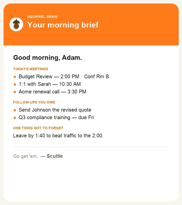 The morning brief email for a business person — today's meetings and open follow-ups